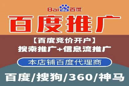 行业报告：专业SEM托管的成功实践与挑战